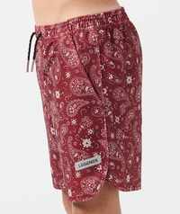 Little Legends Luka Mesh Short Crimson Paisley